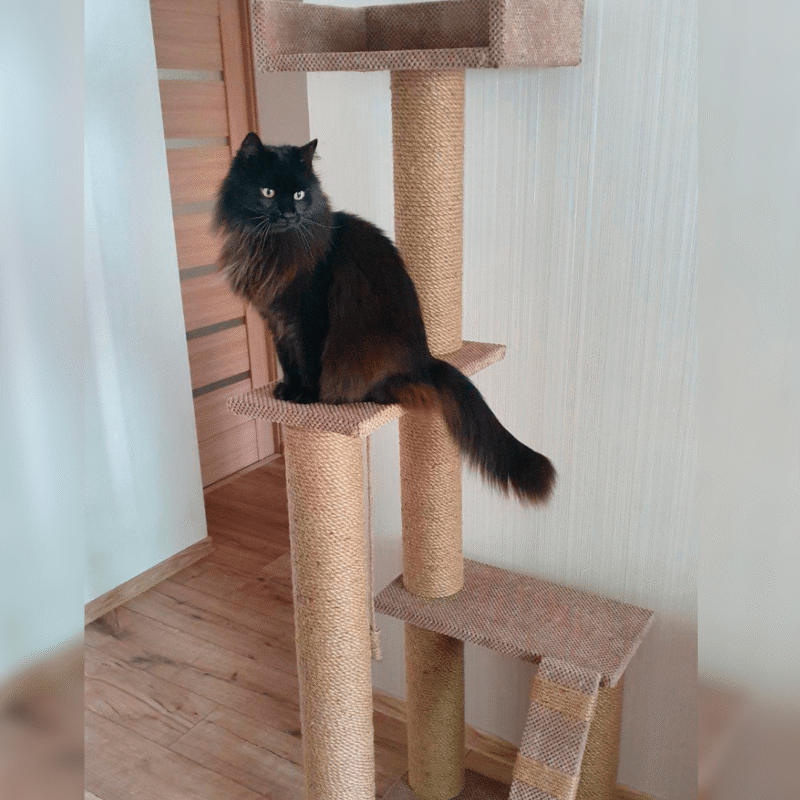 Trzypoziomowy drapak–plac zabaw z półkami i legowiskiem dla kotów,165*55*55см. - obrazek 3