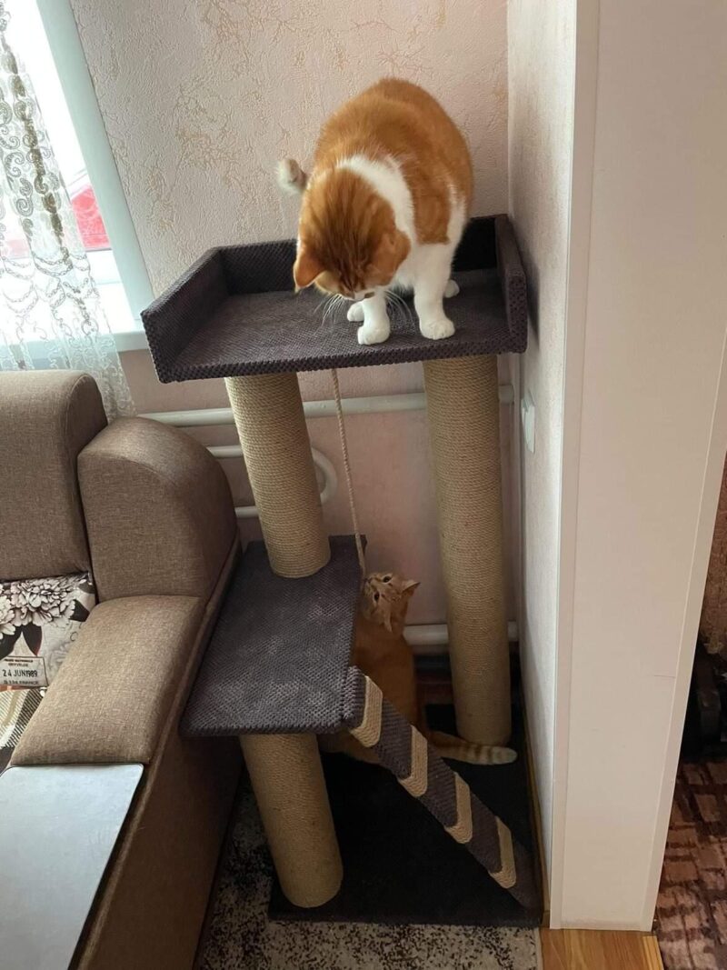 Drapak–kompleks zabawowy dla kota „Dwupoziomowy”ze zwiększonym legowiskiem, wymiary: 115×55×55 cm. - obrazek 3