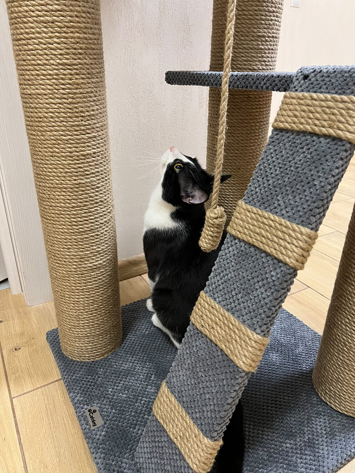 Zestaw zabawowy "Koci pazur" "Dwupiętrowy" z powiększonym łóżkiem, 115*55*55 cm - obrazek 5