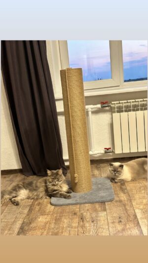 Drapak dla kota "Giant", okrągły, średnica 17,5 cm, wykonany z juty 80/100 cm