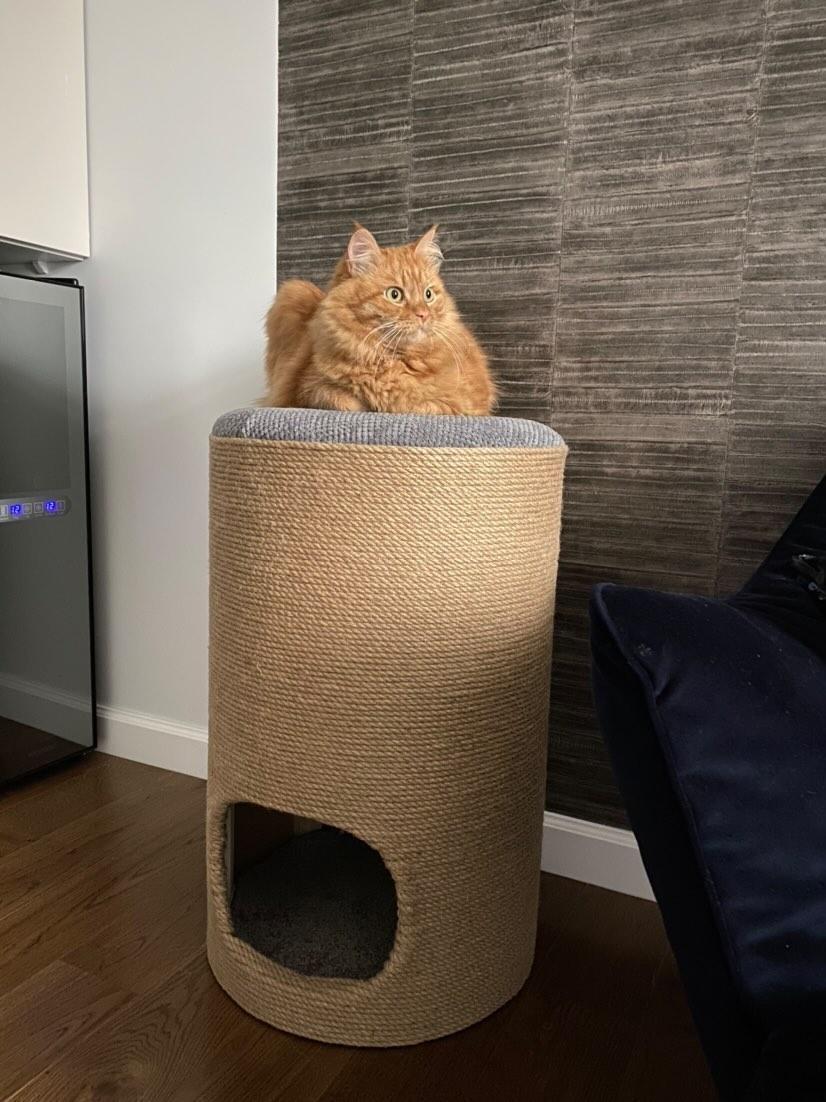 Puf, szafka, nóżka, domek dla kota, miejsce do przechowywania - obrazek 2