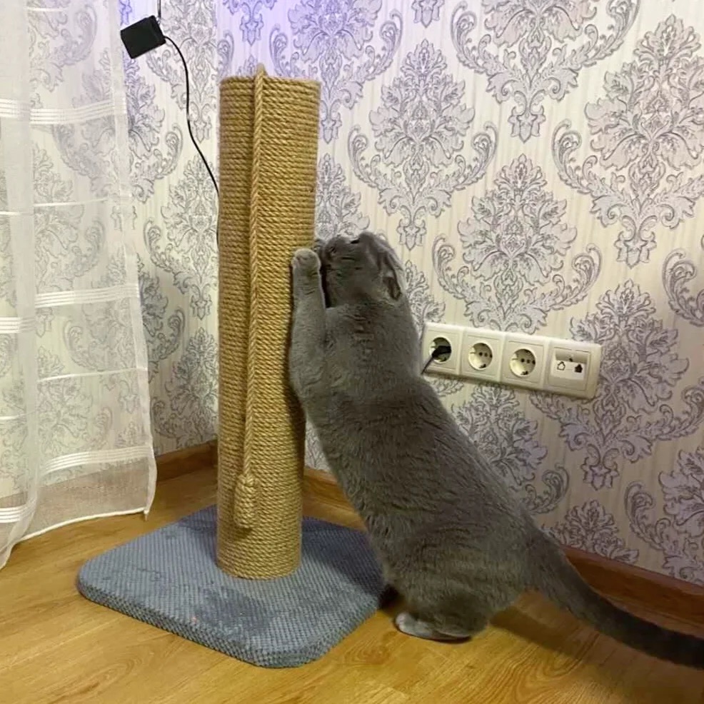 Drapak dla kota, okrągły, wykonany z juta 65/80/100 cm - obrazek 3