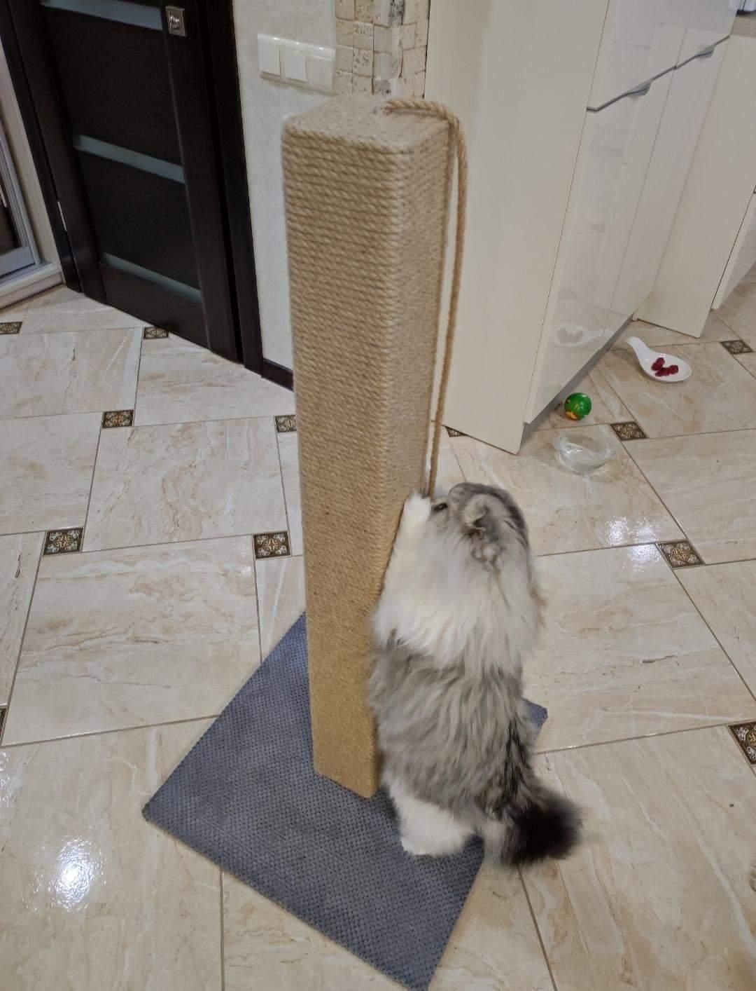 Słupek - kwadratowy pazur, drapak dla kota z zabawką, wykonany z juty, 65/80/100 cm - obrazek 7