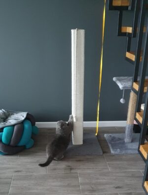 Drapak kwadratowy dla kota z zabawką, wykonany z białej liny, 65/80/100 cm