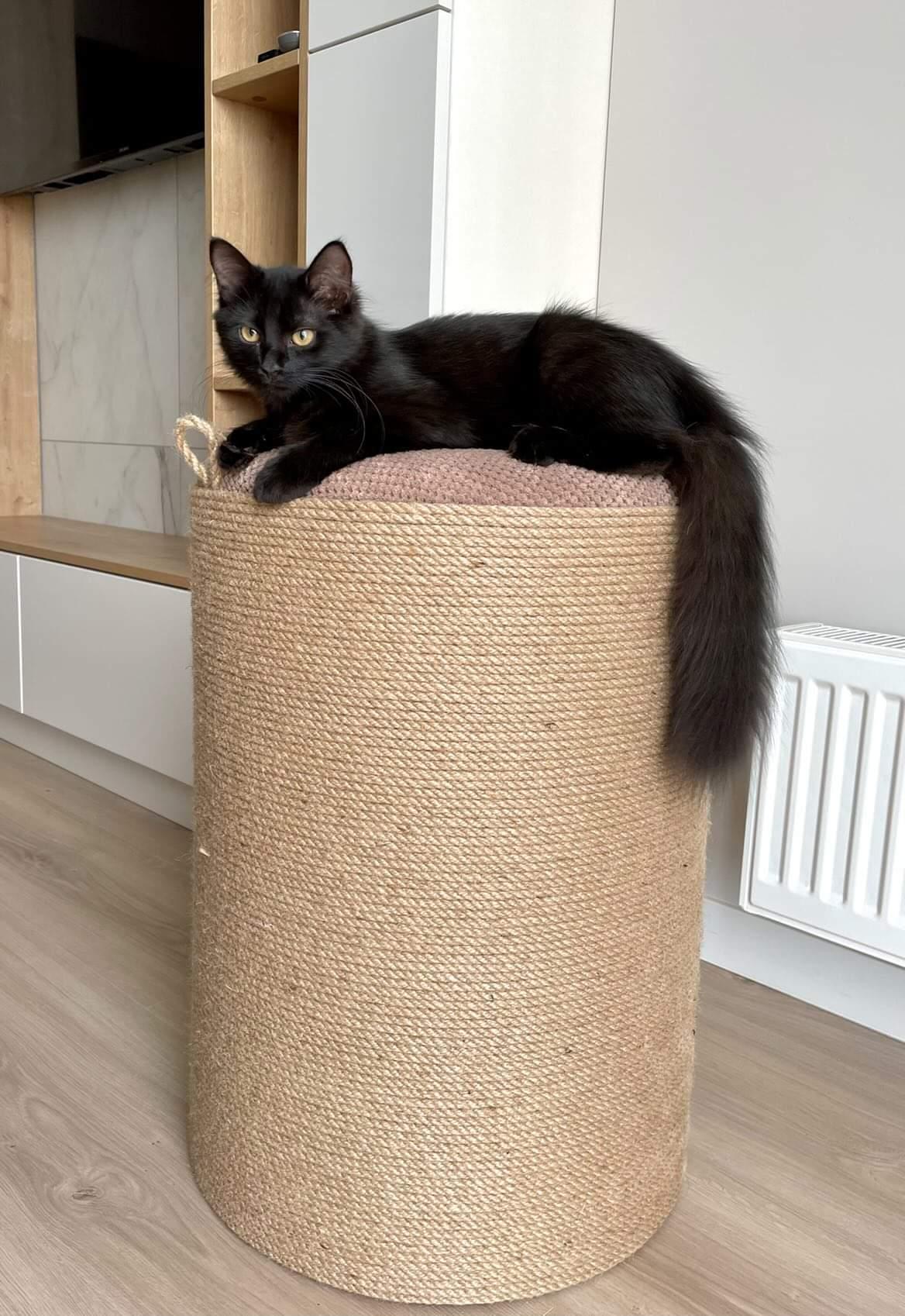 Puf, szafka, nóżka, domek dla kota, miejsce do przechowywania - obrazek 12