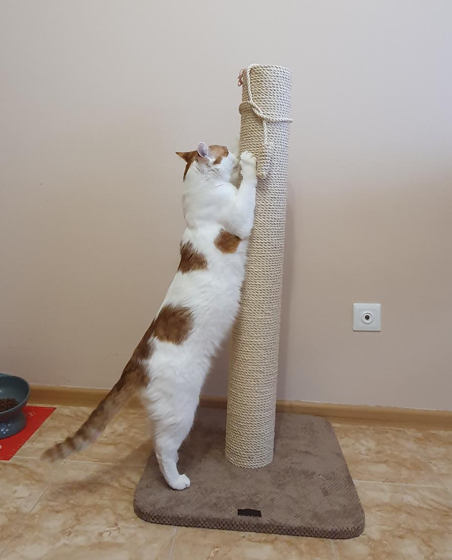 Drapak dla kota, okrągły, wykonany z juta 65/80/100 cm - obrazek 5