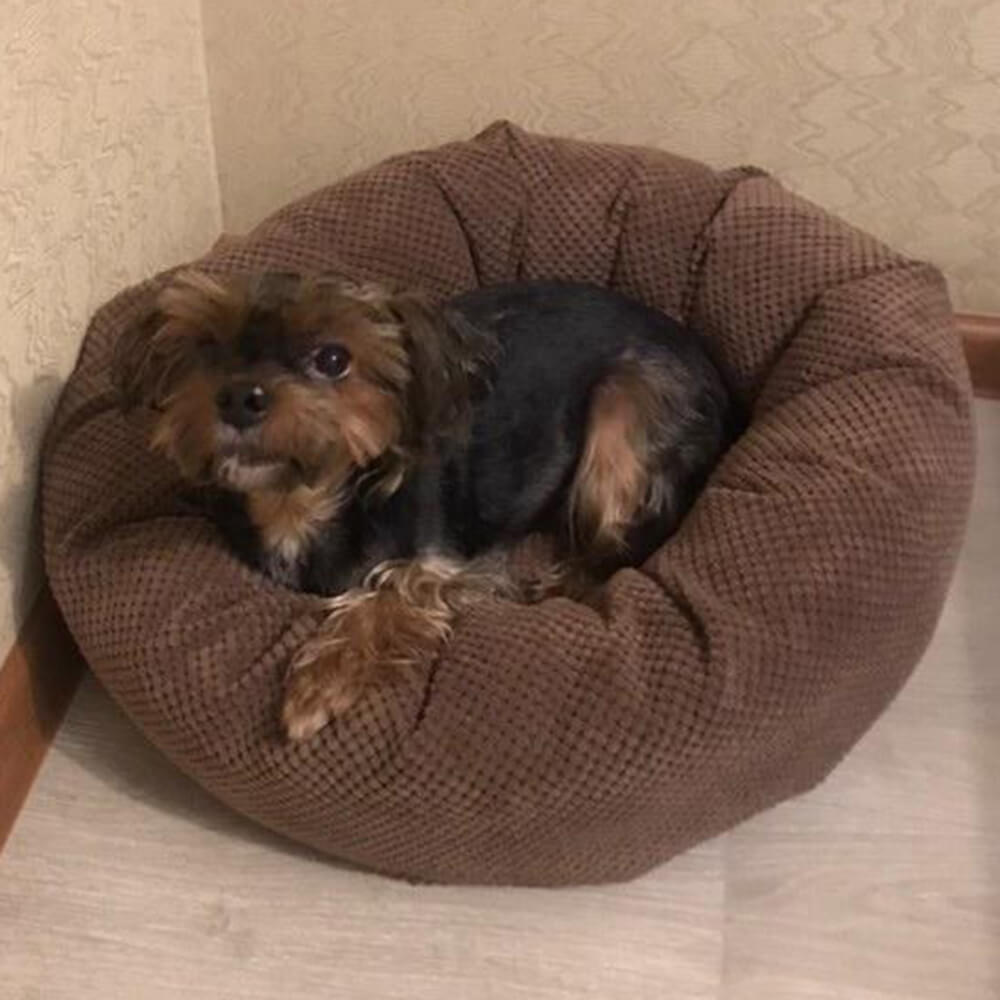 Okrągłe legowisko dla kota/psa "Donut" średnica 52 cm - obrazek 2