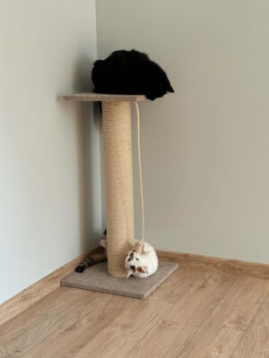 Pazur "Bonya" z okrągłym słupkiem, wiertło do pazurów z legowiskiem dla kota, z sizalu, 65/80/100 cm