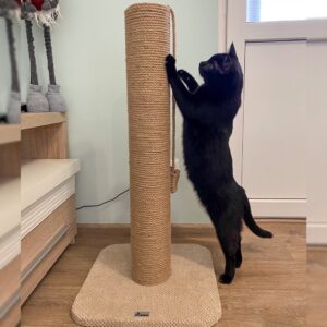 Drapak dla kota, okrągły, wykonany z juta 65/80/100 cm