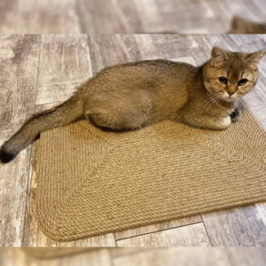 Mata do drapania dla kota, drapak podłogowy