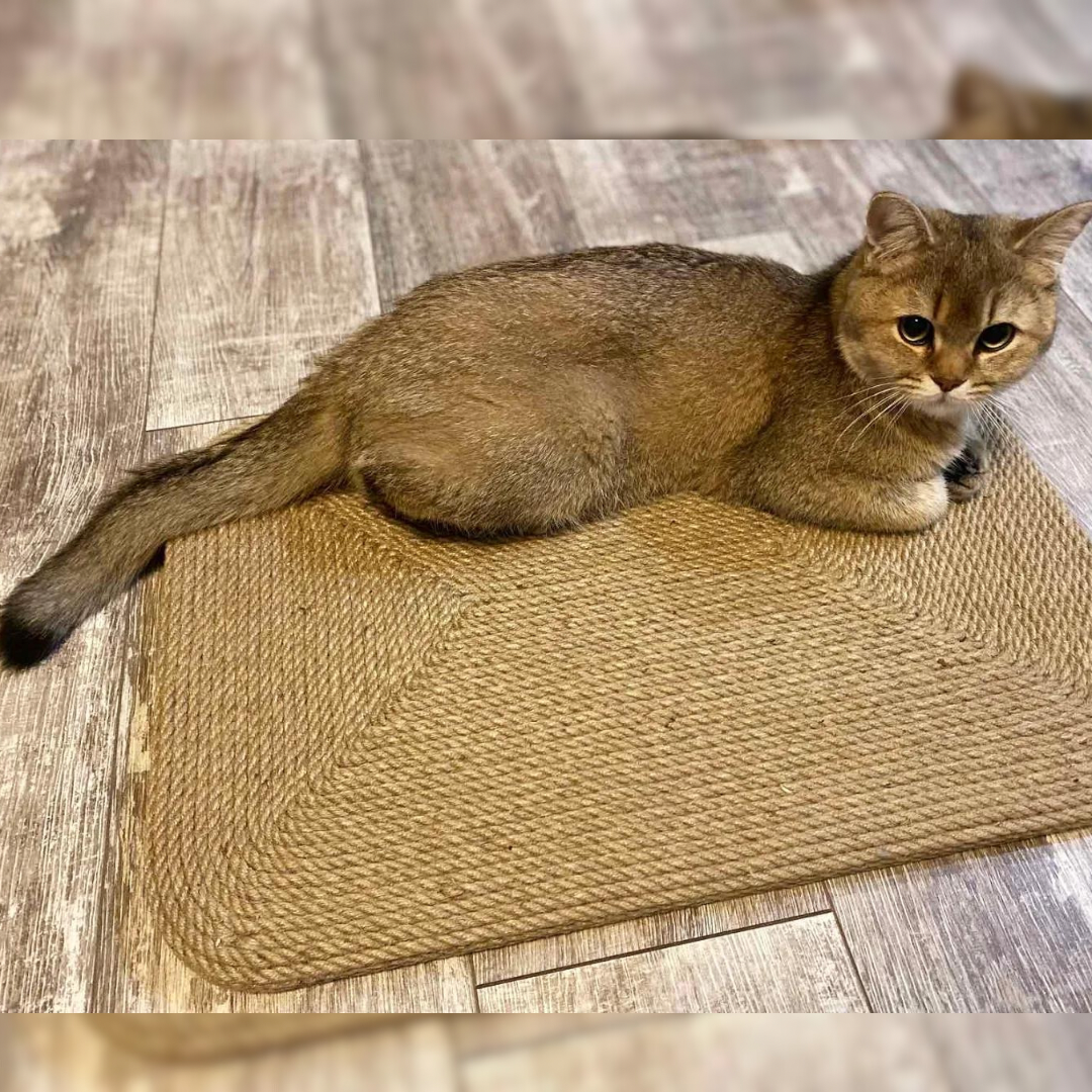 Mata do drapania dla kota, drapak podłogowy