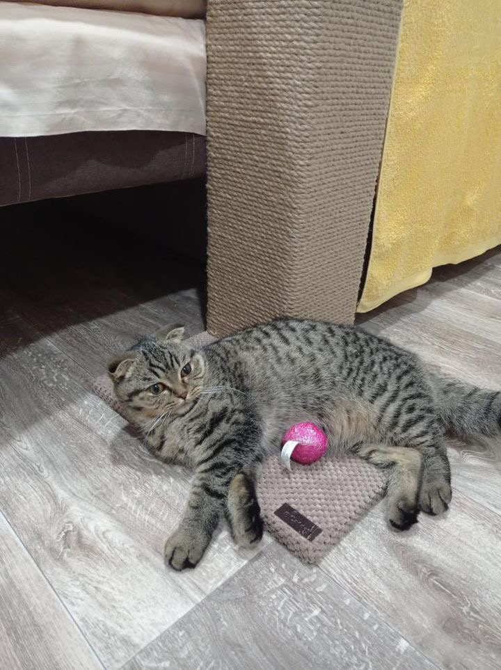 Drapak narożny, ochrona narożników i sof, drapak dla kota na stojaku 60*20*20 cm - obrazek 3