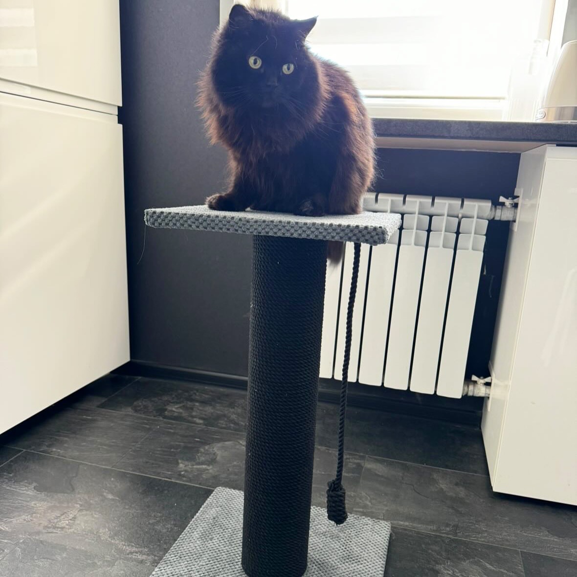 Pazur "Bonia" z okrągłym słupkiem, wiertło do pazurów z legowiskiem dla kota, wykonane z czarnej liny, 65/80/100 cm - obrazek 2