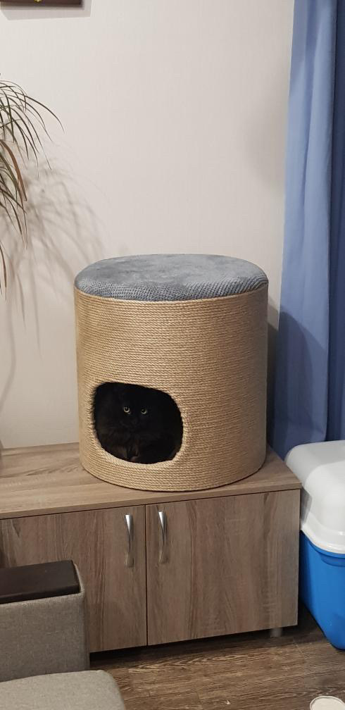 Puf, szafka, nóżka, domek dla kota, miejsce do przechowywania - obrazek 11