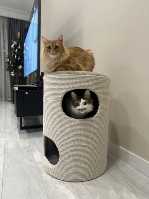 Puf, kredens, pazur, domek dla kota, wykonany z białej liny, 60*45*45cm