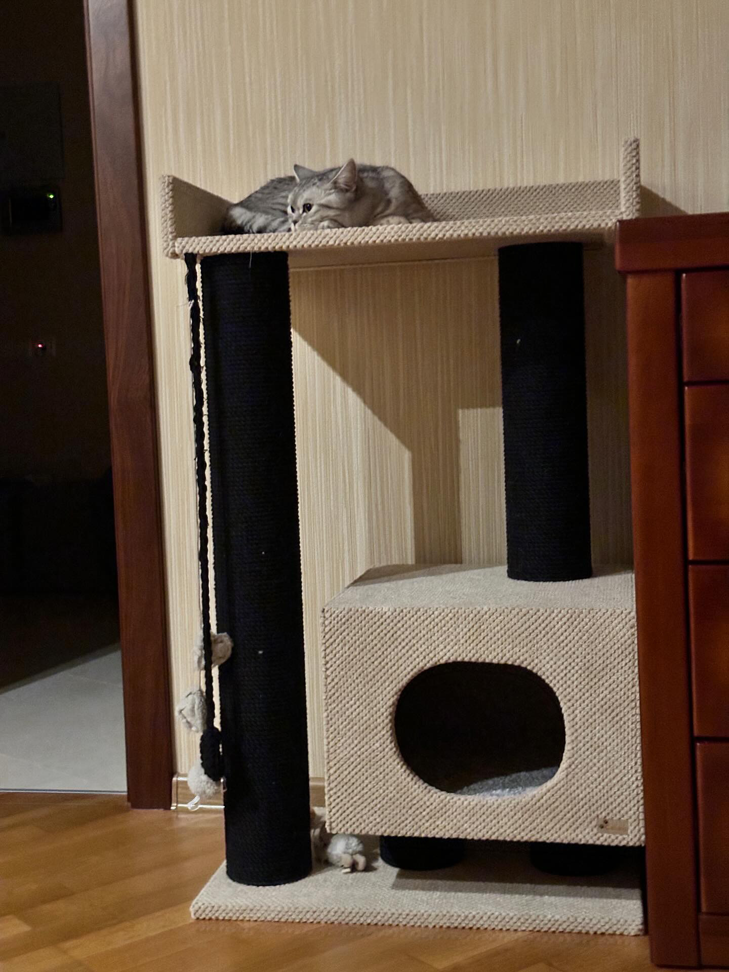 Domek dla kota z kanapą "Mriya", pazur z zestawu zabawowego, wykonany z czarnej liny, 100*60*40cm - obrazek 3