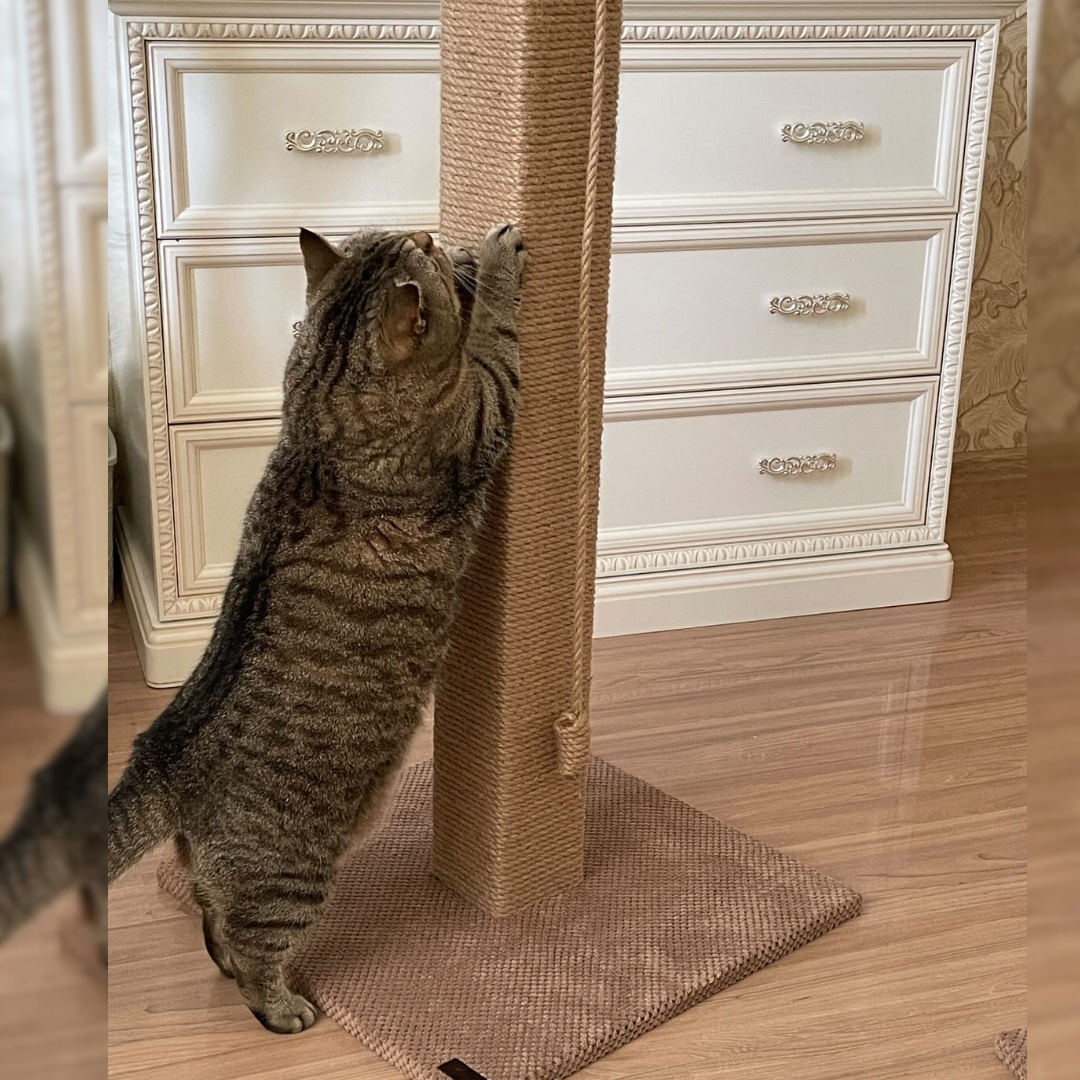 Słupek - kwadratowy pazur, drapak dla kota z zabawką, wykonany z juty, 65/80/100 cm