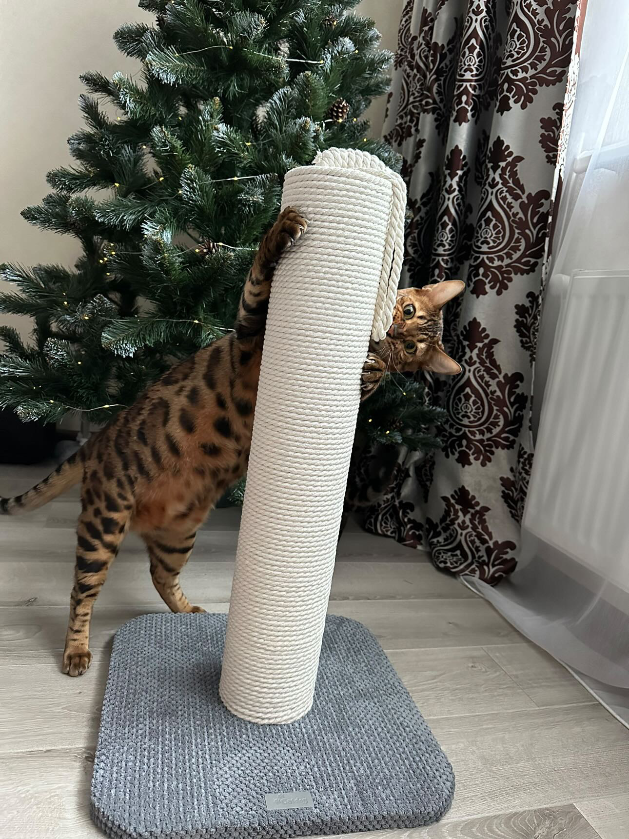 Drapak dla kota, okrągły, wykonany z białej liny 65/80/100 cm - obrazek 2