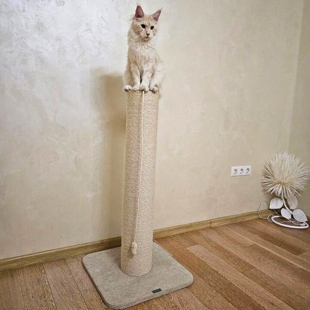 Drapak dla kota "Giant", okrągły słupek, średnica 17,5 cm, sznur sizalowy 80/100 cm