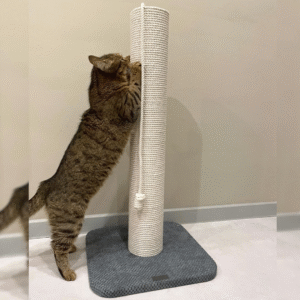 Drapak dla kota, okrągły, wykonany z białej liny 65/80/100 cm