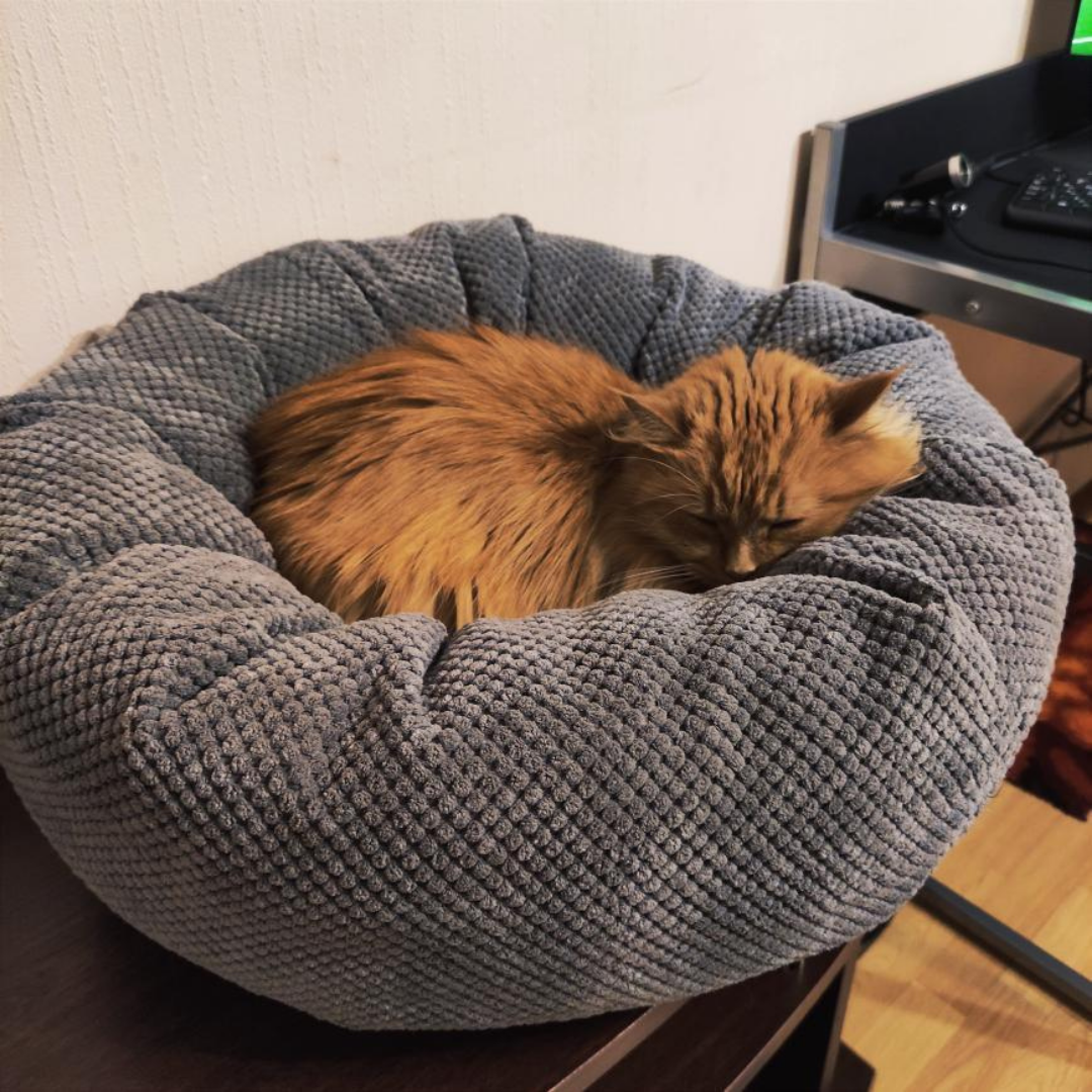 Okrągłe legowisko dla kota/psa "Donut" średnica 52 cm - obrazek 3