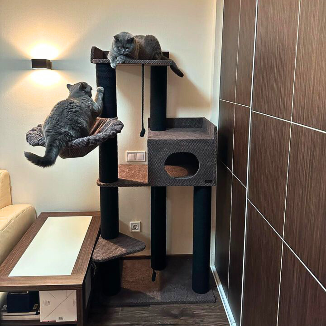 Kompleks pazurów "Elbrus" dla dużych kotów, z dużym legowiskiem, domkiem, hamakiem, do budy, wykonany z czarnej liny 175*80*50cm - obrazek 2