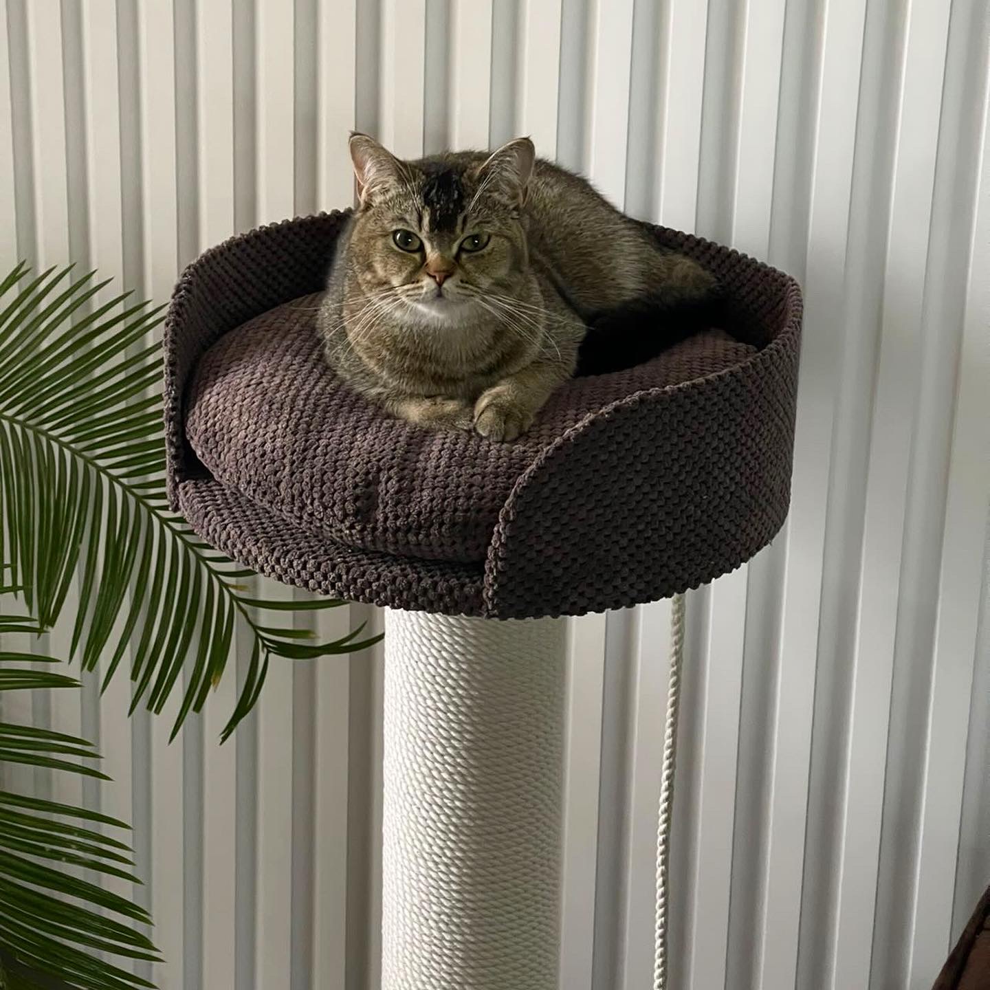 Drapak "Bonia" z okrągłym słupkiem, drapak z legowiskiem dla kota, wykonany z białej liny, 90*50*50cm