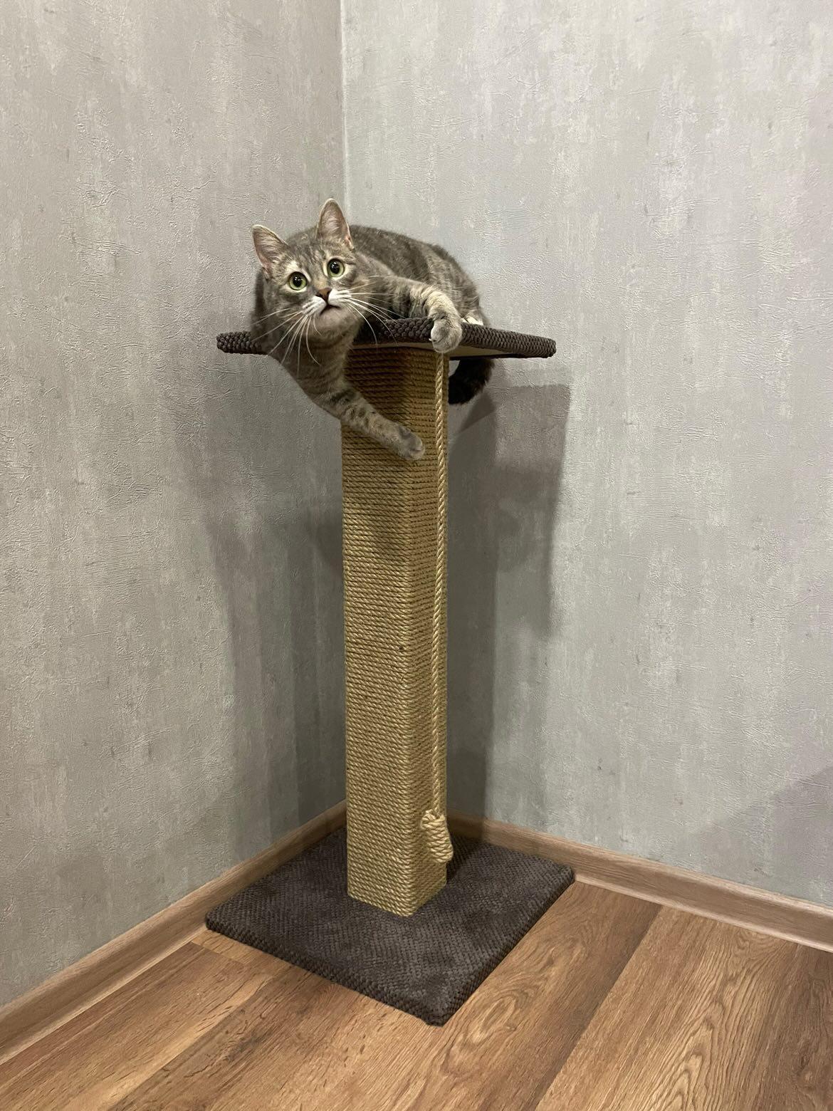 Pazur "Bonia" z kwadratową kolumną, wiertło do pazurów z legowiskiem dla kota, 65/80/100 cm - obrazek 6
