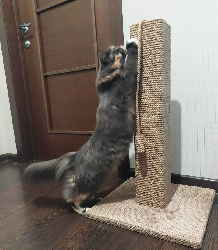 Słupek - kwadratowy pazur, drapak dla kota z zabawką, wykonany z juty, 65/80/100 cm - obrazek 5