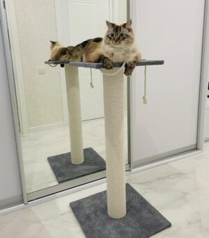 Pazur "Bonya" z okrągłym słupkiem, wiertło do pazurów z legowiskiem dla kota, wykonane z białej liny, 65/80/100 cm