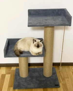 Zestaw pazurów "Compact" z dwoma leżakami, 90*60*40 cm