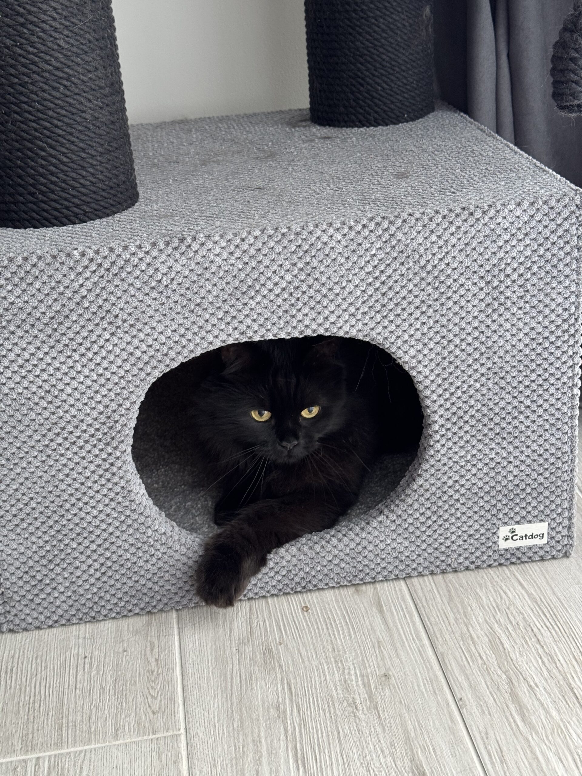 Domek z łapką dla kota "Palmira 90", z legowiskiem, hamakiem, zabawką, wykonany z czarnej liny, 90*45*45 cm - obrazek 5