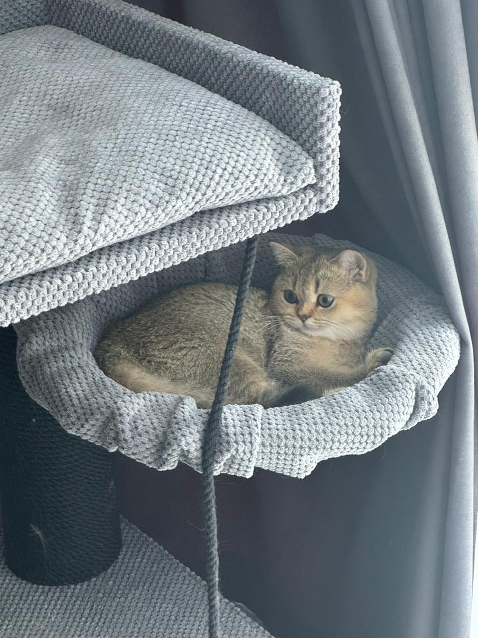 Domek z łapką dla kota "Palmira 90", z legowiskiem, hamakiem, zabawką, wykonany z czarnej liny, 90*45*45 cm - obrazek 3