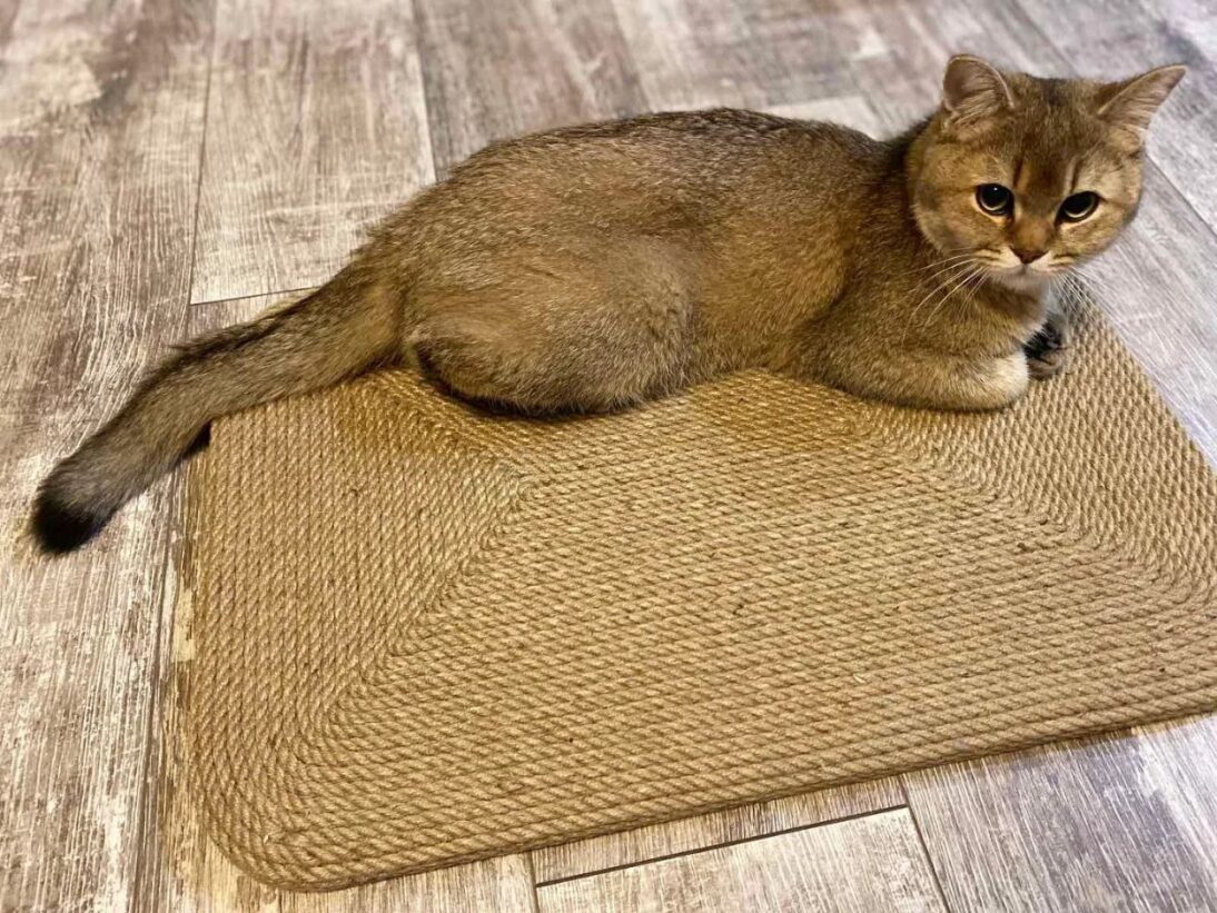 Mata do drapania dla kota, drapak podłogowy - obrazek 5