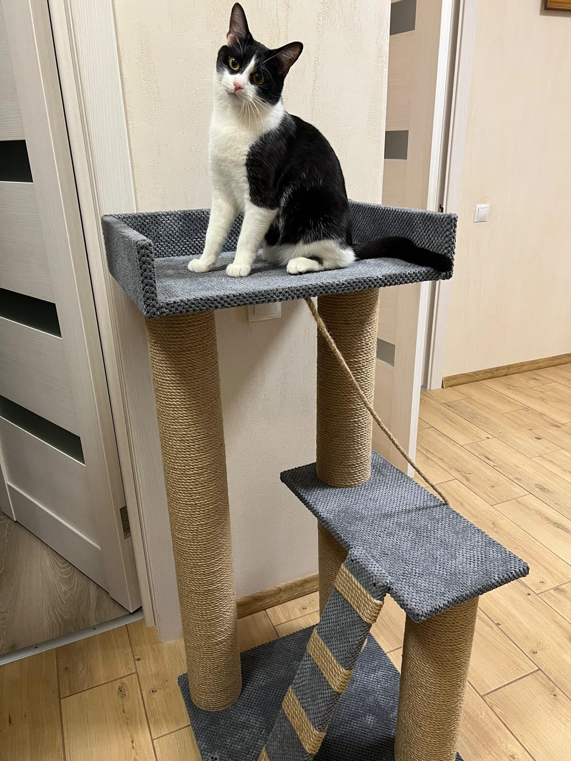 Zestaw zabawowy "Koci pazur" "Dwupiętrowy" z powiększonym łóżkiem, 115*55*55 cm - obrazek 4